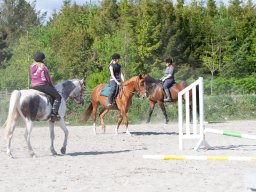 IMG_0603_web